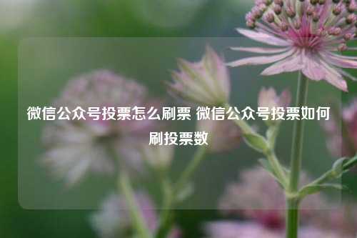 微信公众号投票怎么刷票 微信公众号投票如何刷投票数