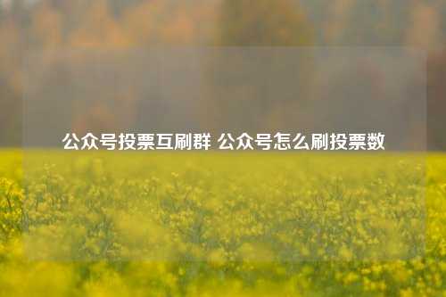 公众号投票互刷群 公众号怎么刷投票数