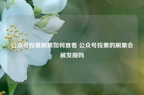 公众号投票刷票如何查看 公众号投票的刷票会被发现吗