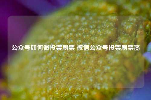 公众号如何微投票刷票 微信公众号投票刷票器