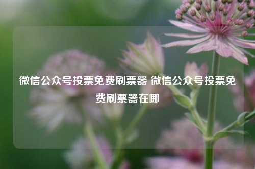 微信公众号投票免费刷票器 微信公众号投票免费刷票器在哪