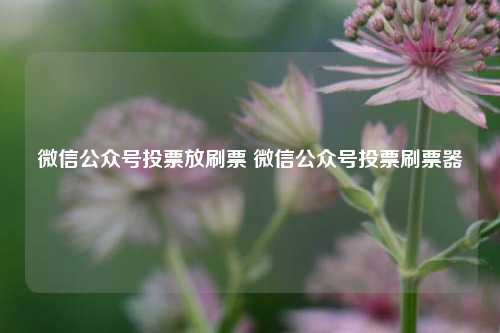 微信公众号投票放刷票 微信公众号投票刷票器