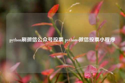 python刷微信公众号投票 python 微信投票小程序