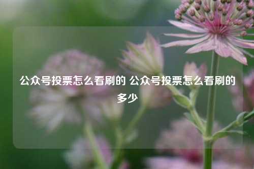 公众号投票怎么看刷的 公众号投票怎么看刷的多少