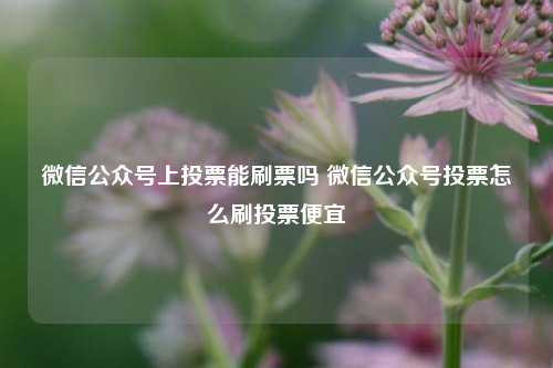 微信公众号上投票能刷票吗 微信公众号投票怎么刷投票便宜