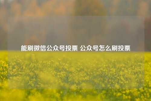 能刷微信公众号投票 公众号怎么刷投票