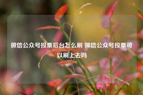 微信公众号投票后台怎么刷 微信公众号投票可以刷上去吗