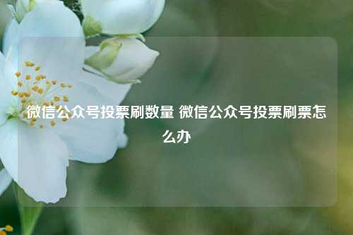 微信公众号投票刷数量 微信公众号投票刷票怎么办