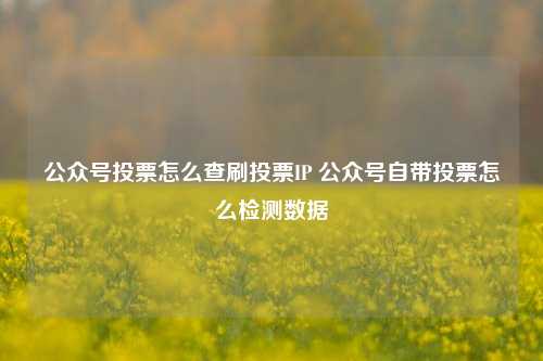 公众号投票怎么查刷投票IP 公众号自带投票怎么检测数据