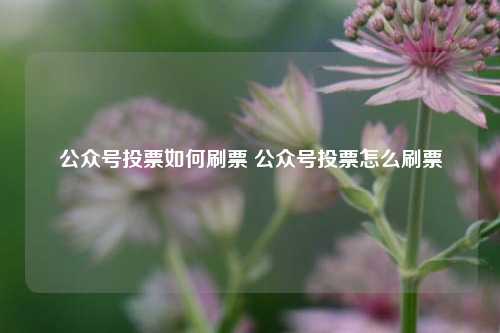 公众号投票如何刷票 公众号投票怎么刷票