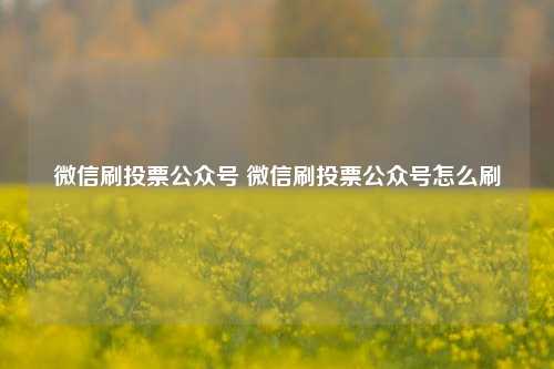 微信刷投票公众号 微信刷投票公众号怎么刷