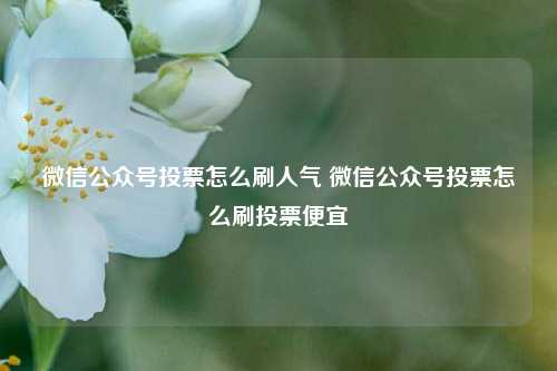 微信公众号投票怎么刷人气 微信公众号投票怎么刷投票便宜