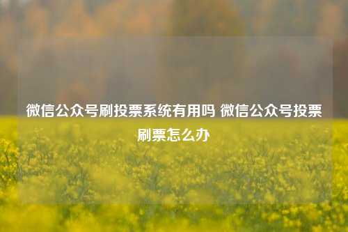 微信公众号刷投票系统有用吗 微信公众号投票刷票怎么办