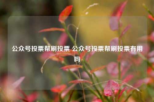 公众号投票帮刷投票 公众号投票帮刷投票有用吗