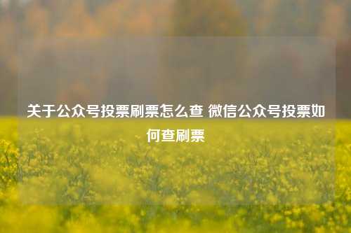 关于公众号投票刷票怎么查 微信公众号投票如何查刷票