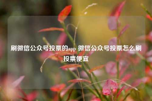 刷微信公众号投票的app 微信公众号投票怎么刷投票便宜