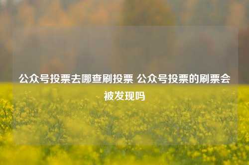 公众号投票去哪查刷投票 公众号投票的刷票会被发现吗