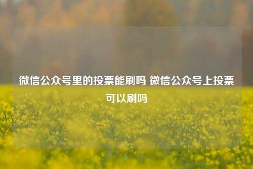 微信公众号里的投票能刷吗 微信公众号上投票可以刷吗