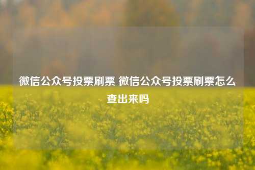 微信公众号投票刷票 微信公众号投票刷票怎么查出来吗