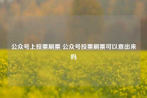 公众号上投票刷票 公众号投票刷票可以查出来吗