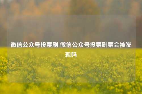 微信公众号投票刷 微信公众号投票刷票会被发现吗