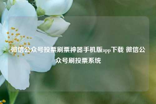 微信公众号投票刷票神器手机版app下载 微信公众号刷投票系统