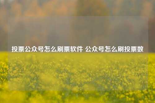 投票公众号怎么刷票软件 公众号怎么刷投票数