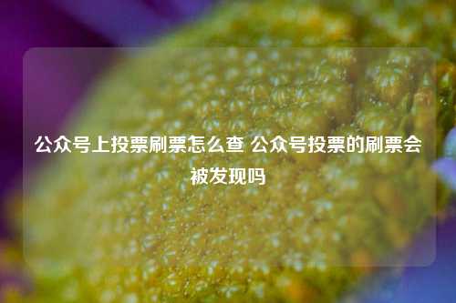 公众号上投票刷票怎么查 公众号投票的刷票会被发现吗