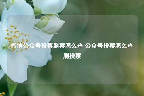 微信公众号投票刷票怎么查 公众号投票怎么查刷投票