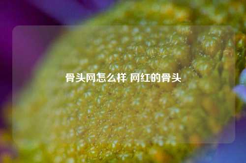 骨头网怎么样 网红的骨头