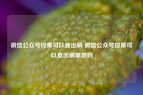 微信公众号投票可以查出刷 微信公众号投票可以查出刷票数吗