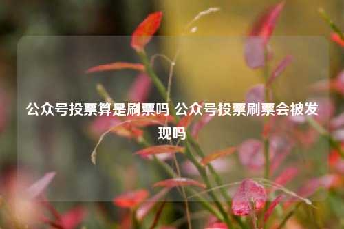 公众号投票算是刷票吗 公众号投票刷票会被发现吗