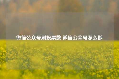 微信公众号刷投票数 微信公众号怎么做