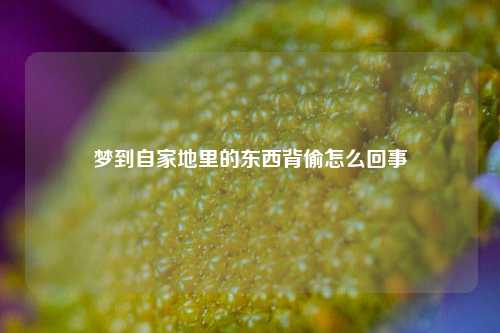 梦到自家地里的东西背偷怎么回事