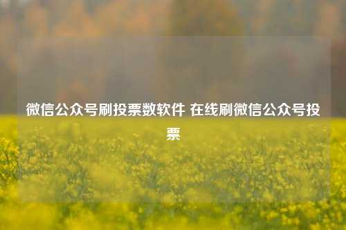 微信公众号刷投票数软件 在线刷微信公众号投票