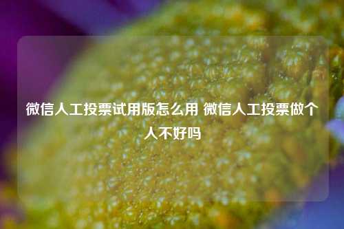 微信人工投票试用版怎么用 微信人工投票做个人不好吗