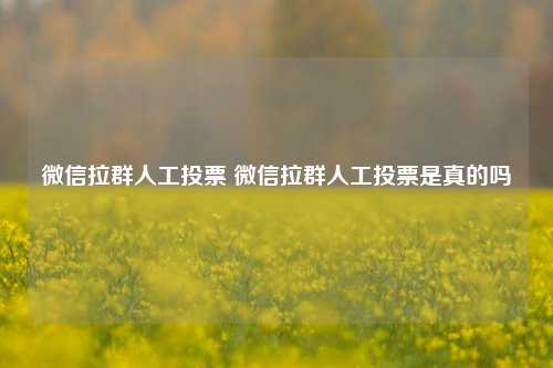 微信拉群人工投票 微信拉群人工投票是真的吗