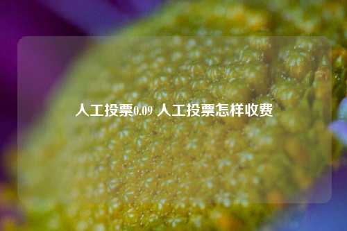 人工投票0.09 人工投票怎样收费