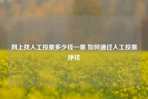 网上找人工投票多少钱一票 如何通过人工投票挣钱