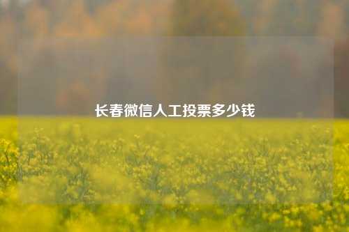 长春微信人工投票多少钱