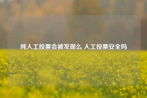 纯人工投票会被发现么 人工投票安全吗