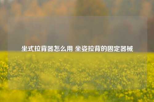 坐式拉背器怎么用 坐姿拉背的固定器械