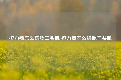 拉力器怎么练肱二头肌 拉力器怎么练肱三头肌