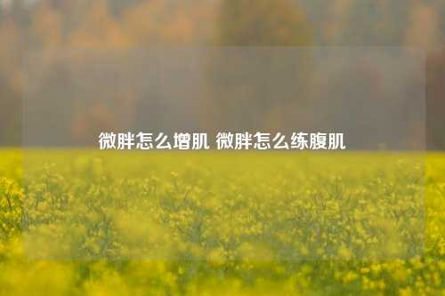 微胖怎么增肌 微胖怎么练腹肌