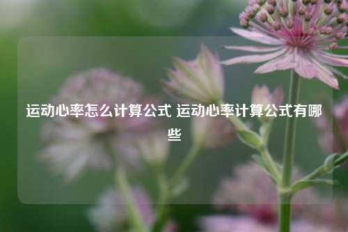 运动心率怎么计算公式 运动心率计算公式有哪些