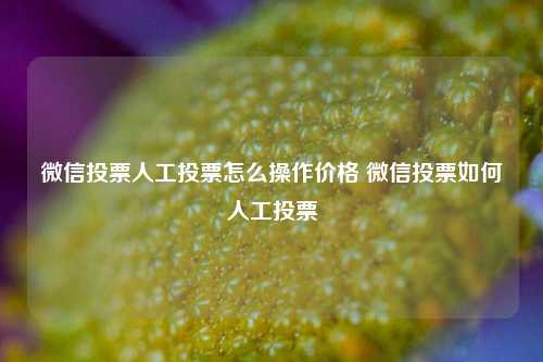 微信投票人工投票怎么操作价格 微信投票如何人工投票