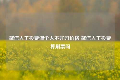 微信人工投票做个人不好吗价格 微信人工投票算刷票吗