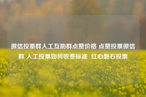 微信投票群人工互助群点赞价格 点赞投票微信群 人工投票如何收费标准  红心磐石投票