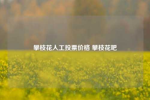 攀枝花人工投票价格 攀枝花吧