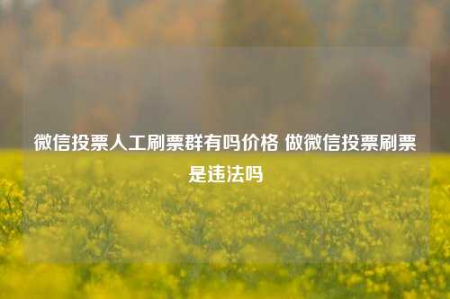 微信投票人工刷票群有吗价格 做微信投票刷票是违法吗